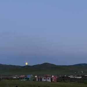 Meet your Posher, Наранцэцэг